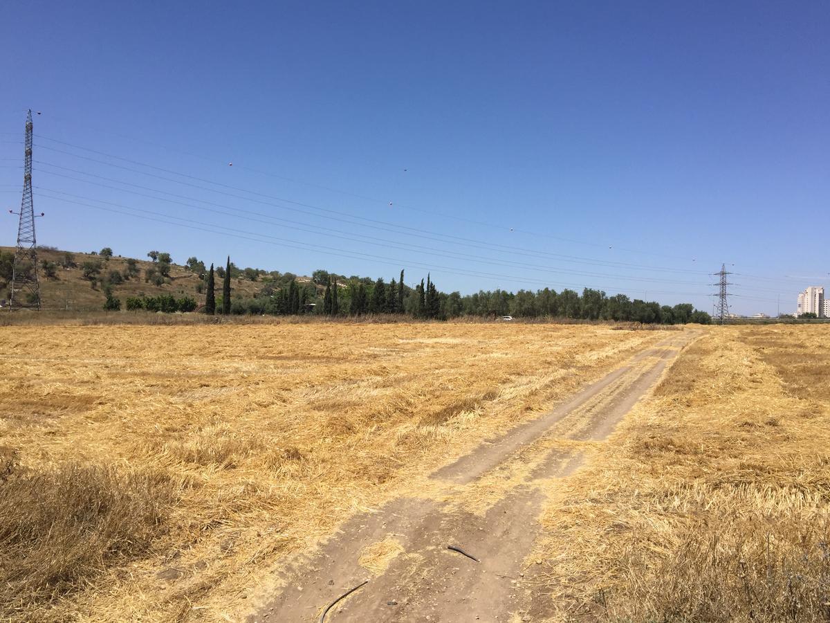 Kfar Rut Peace Tentヴィラ エクステリア 写真