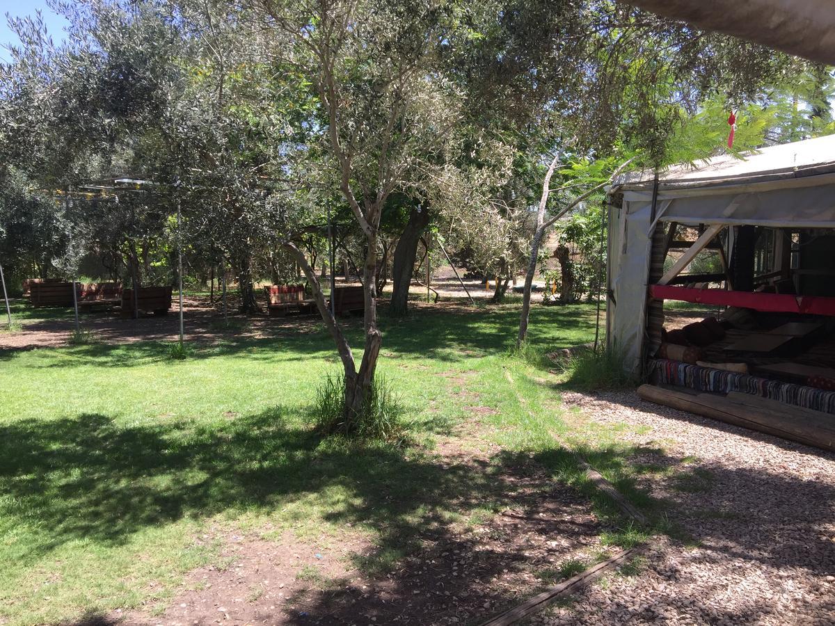 Kfar Rut Peace Tentヴィラ エクステリア 写真