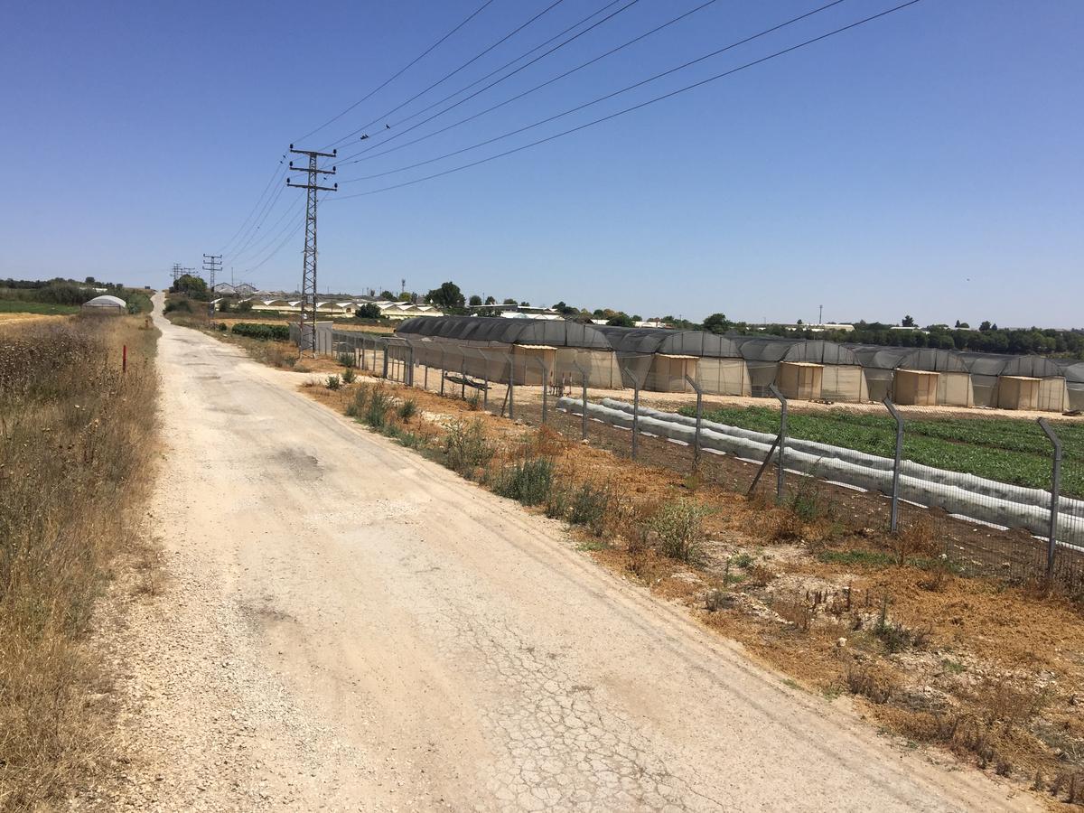 Kfar Rut Peace Tentヴィラ エクステリア 写真