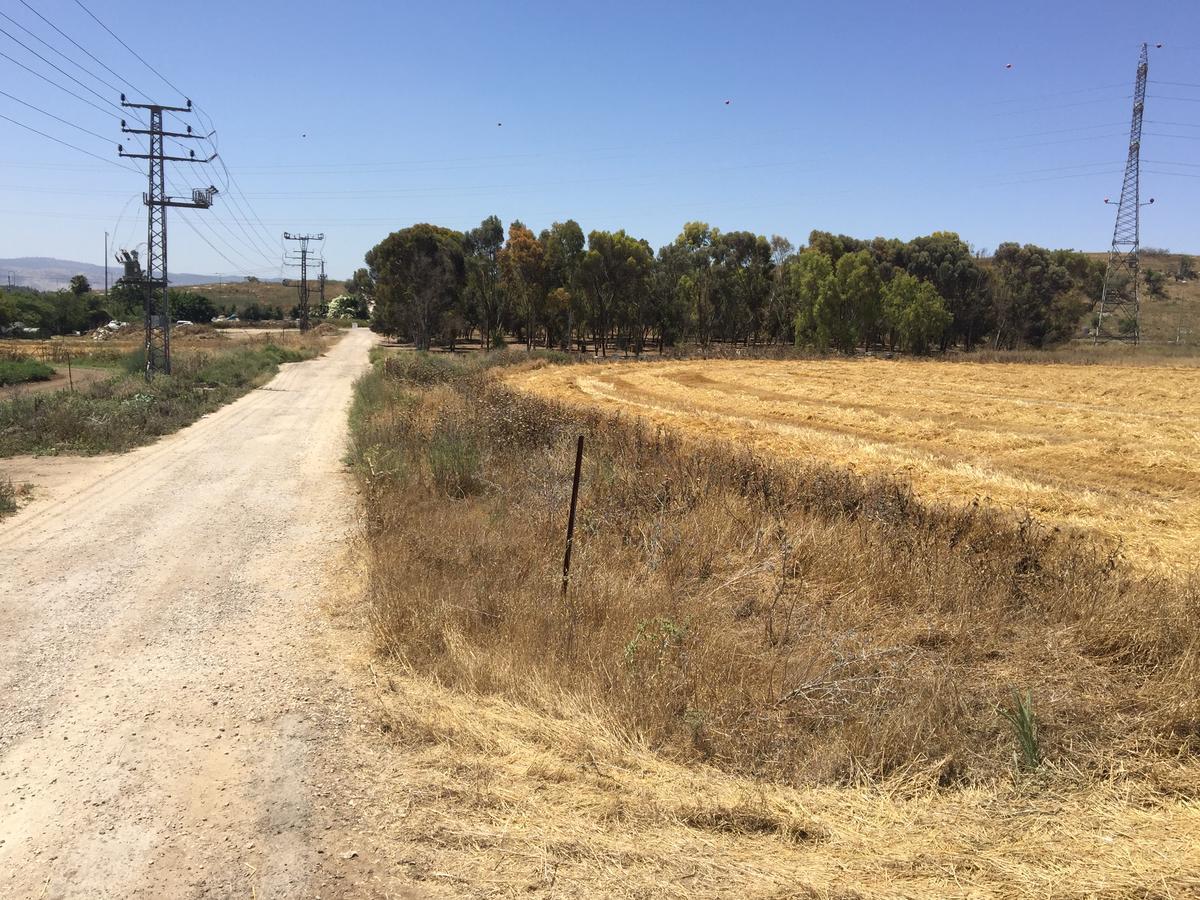 Kfar Rut Peace Tentヴィラ エクステリア 写真